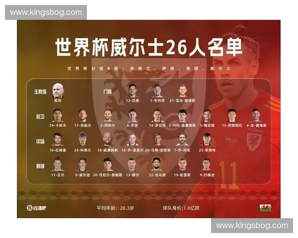法国世界杯名单深度解读核心球员配置与新生代力量全面展望争冠征程